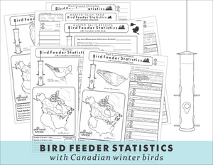 Bird feeder statistics with Canadian winter birds