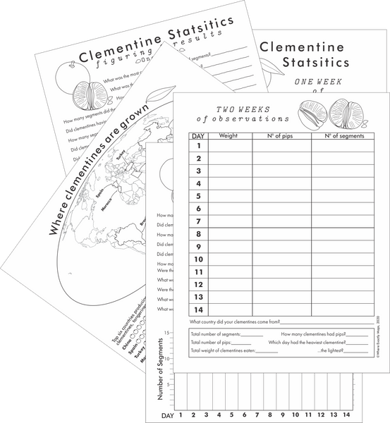 Clementine statistics display of multiple pages