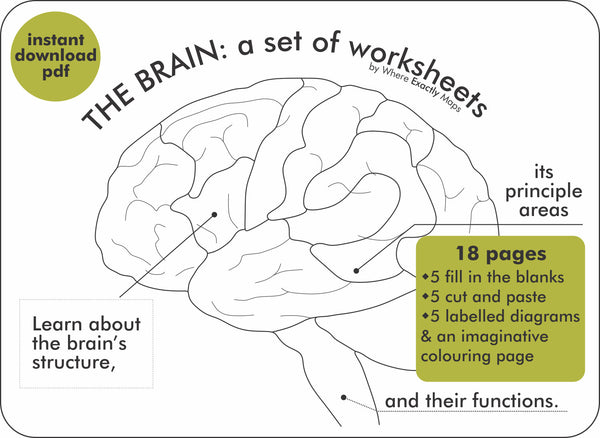 The Brain: a set of worksheets by Where Exactly Maps