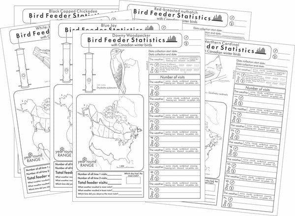 Bird Feeder Statistics with Canadian Winter birds worksheets display